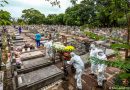 Mortes por Covid no Brasil