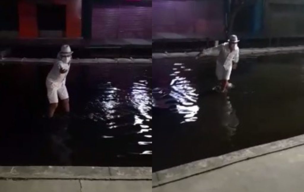 Boto assusta manauaras a noite na cheia do rio Negro