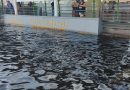 Cheia do rio Negro iguala marca histórica de 2012