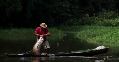 Fotógrafo lança livro com cenas do manejo de pirarucu no Amazonas