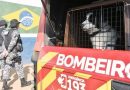 Serial killer do DF: cadela que atuou em Brumadinho ajuda nas buscas por Lázaro