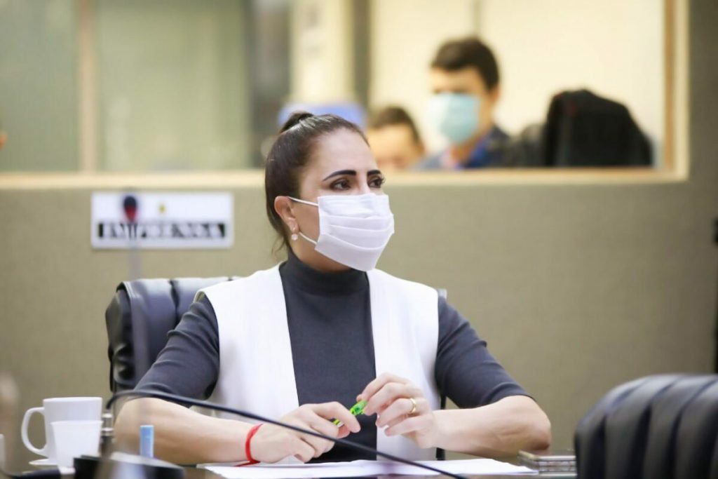 Deputada Nejmi Aziz propõe Medidas de segurança para o transporte rodoviário intermunicipal