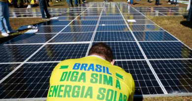 Manifestantes promovem ato em Brasília a favor da energia solar
