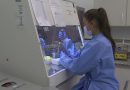 Brasil tem 18 vacinas contra a Covid-19 em desenvolvimento, diz governo