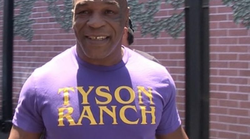 Mike Tyson se desculpa com Logan Paul: “Eu estava errado”