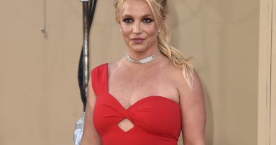 Britney Spears: justiça decide que pai da cantora permanecerá como seu tutor