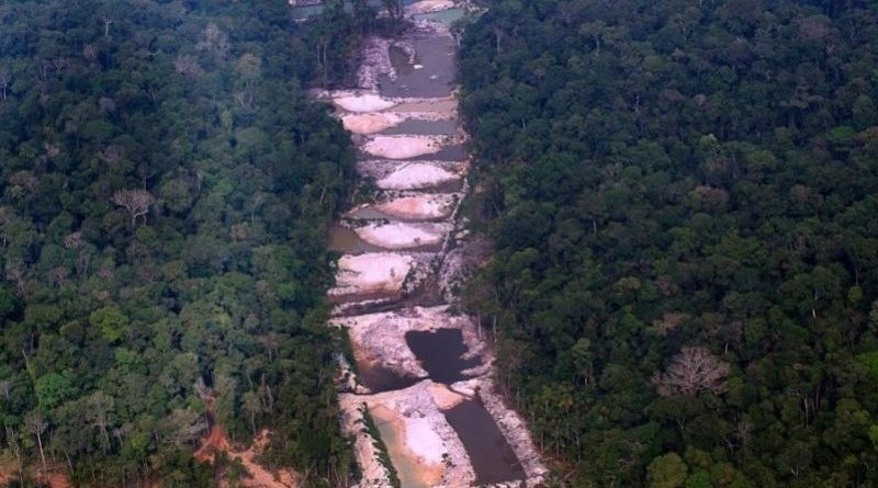 Desmatamento favorece dispersão de malária e Covid-19 na Amazônia