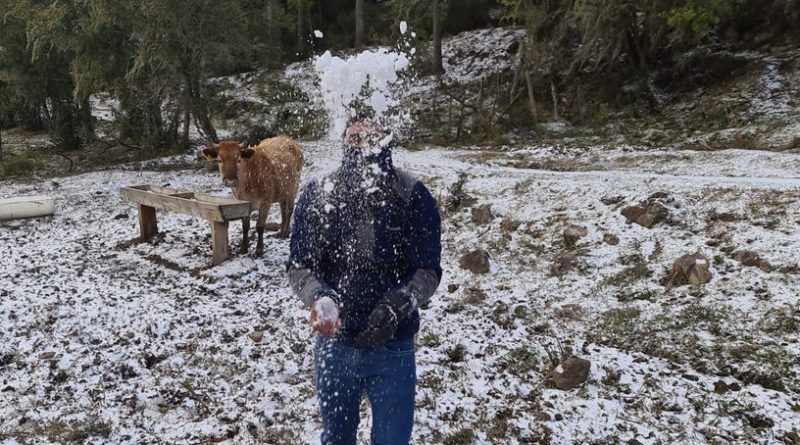 Com -8,6°C, SC registra a menor temperatura do Brasil em 2021, diz Inmet