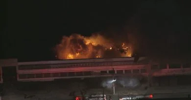 Famosos e autoridades lamentam incêndio em galpão da Cinemateca Brasileira