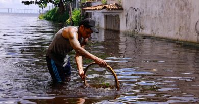 Nível do Rio Negro em Manaus diminui 1 metro desde marca histórica