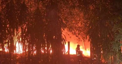 Incêndio de grandes proporções atinge lote abandonado no bairro Santa Etelvina, em Manaus