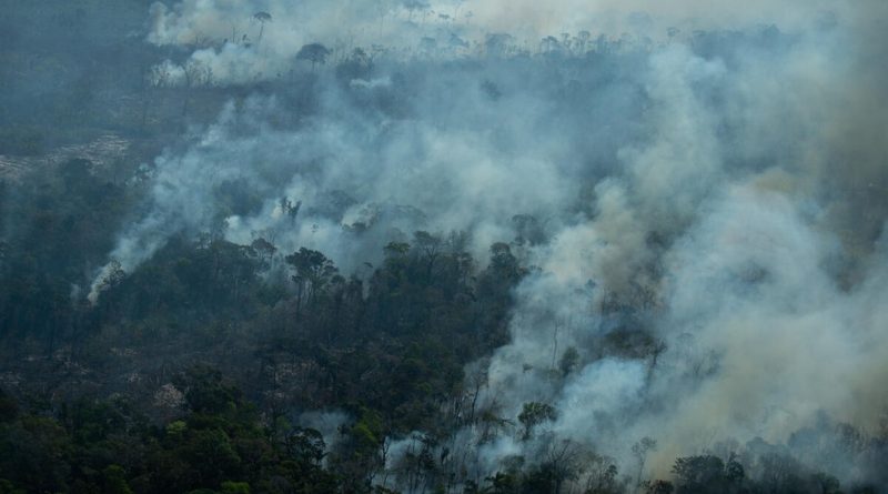 Agosto já registra maior número de queimadas no AM em 2021