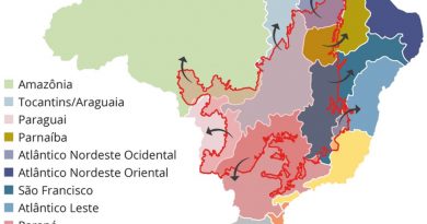 Cerrado é fundamental para evitar racionamento de água e energia no Brasil