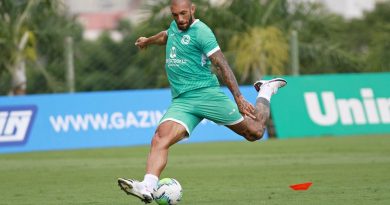 Botafogo negocia contratação do atacante Fernandão